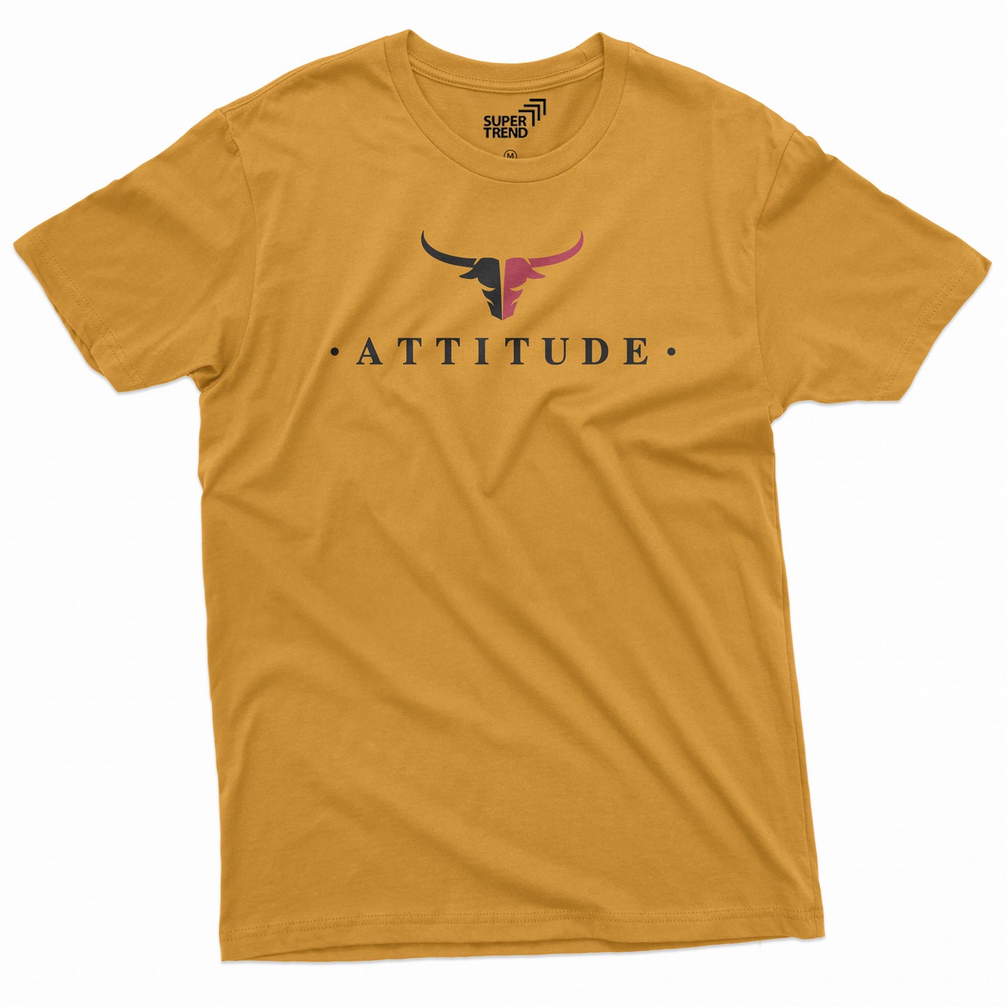 Attitude