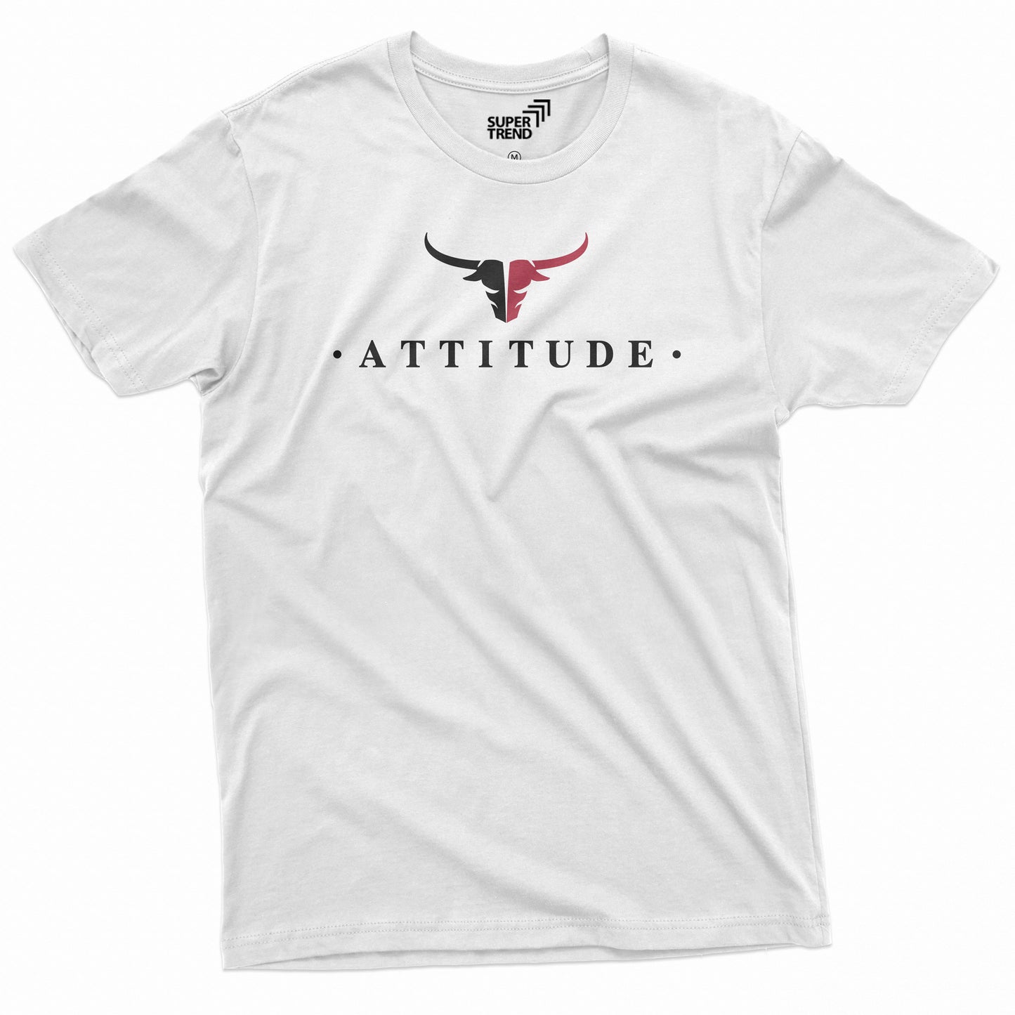 Attitude