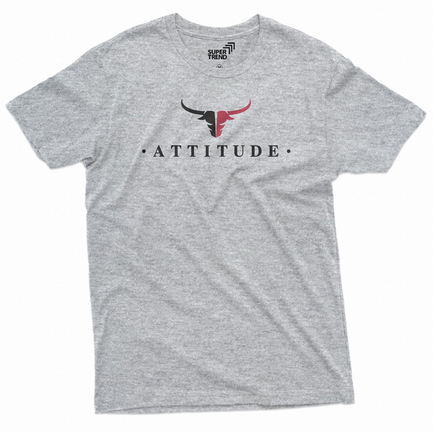 Attitude