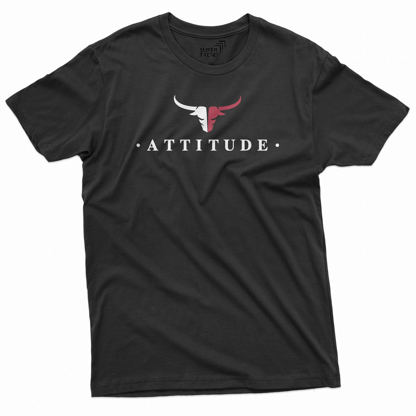 Attitude
